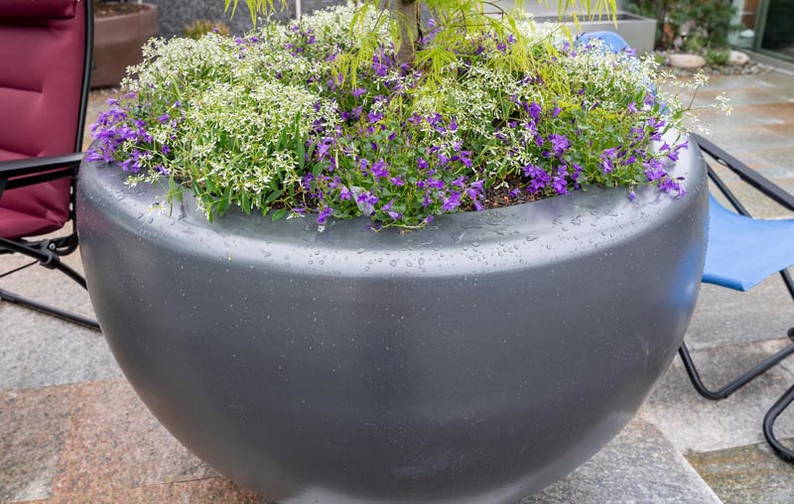 gartenbau_burkhard-102.jpg