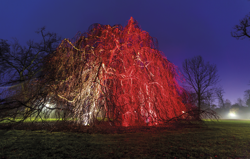 villette5.tif villette5.tif