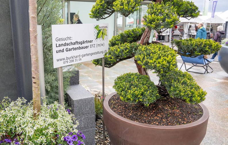 gartenbau_burkhard-113.jpg