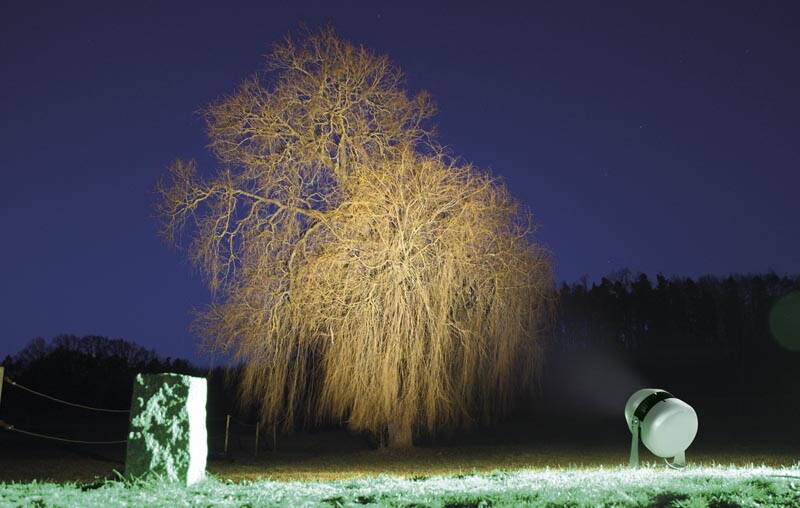 milieu_clar.jpg milieu_clar.jpg