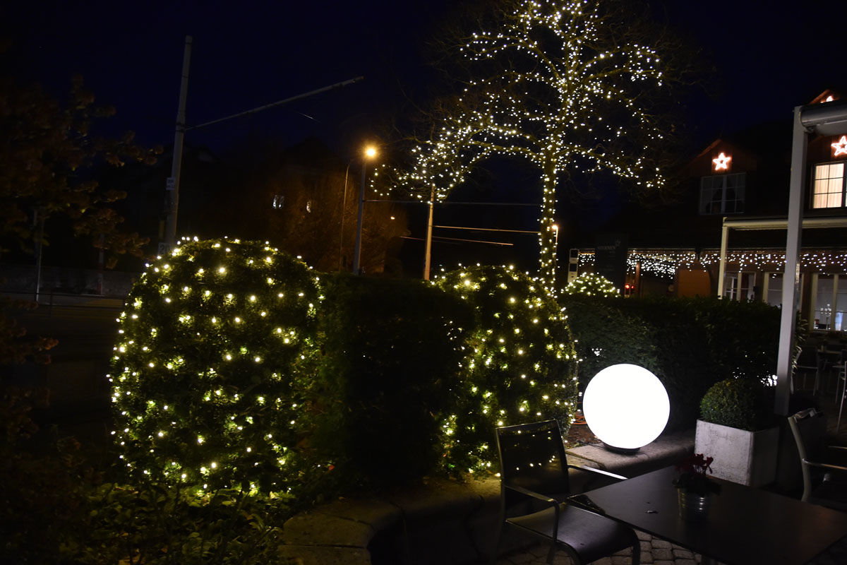 dsc_9164.jpg dsc_9164.jpg