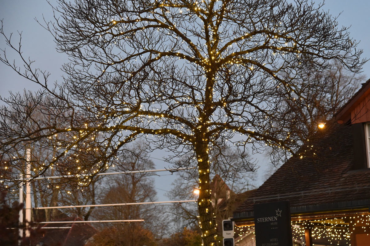 dsc_9160.jpg dsc_9160.jpg