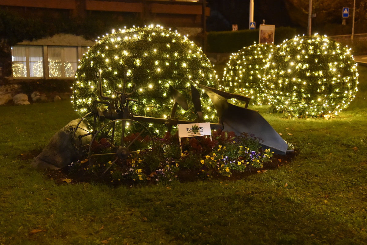 dsc_9195.jpg dsc_9195.jpg